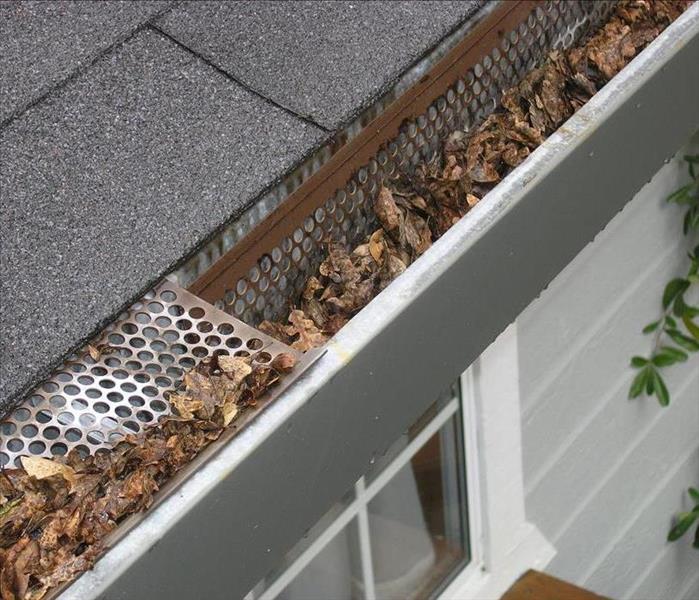 Gutter with Leaves