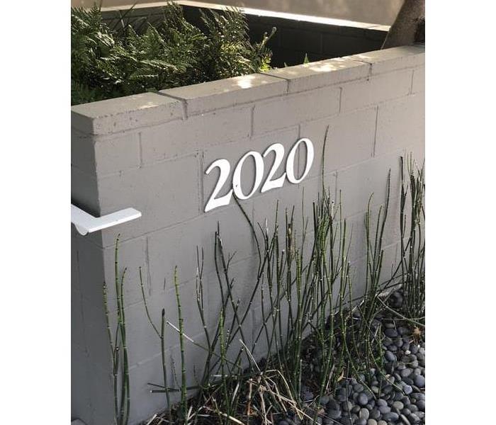 2020 numbers on concrete planter
